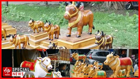 Tanha POLA maharashtra .
